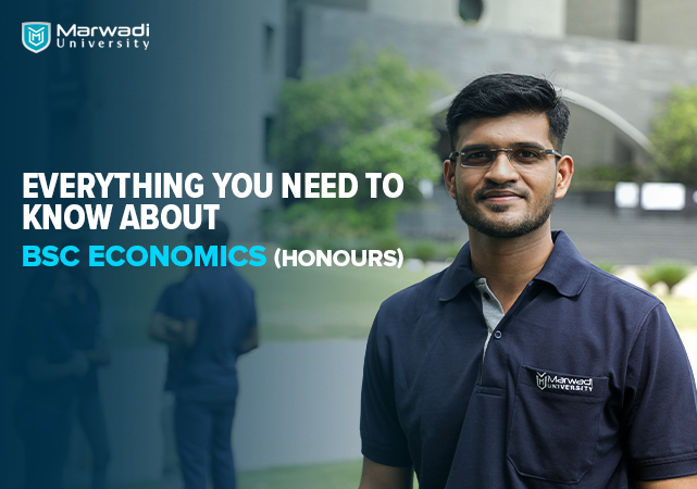 Everything You Need to Know About BSc Economics (Honours)